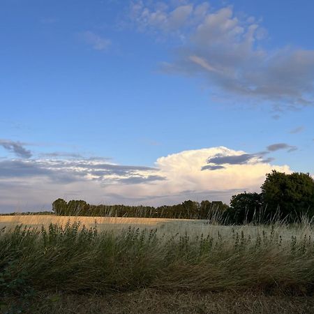 Willow Barn, לונג מלפורד מראה חיצוני תמונה