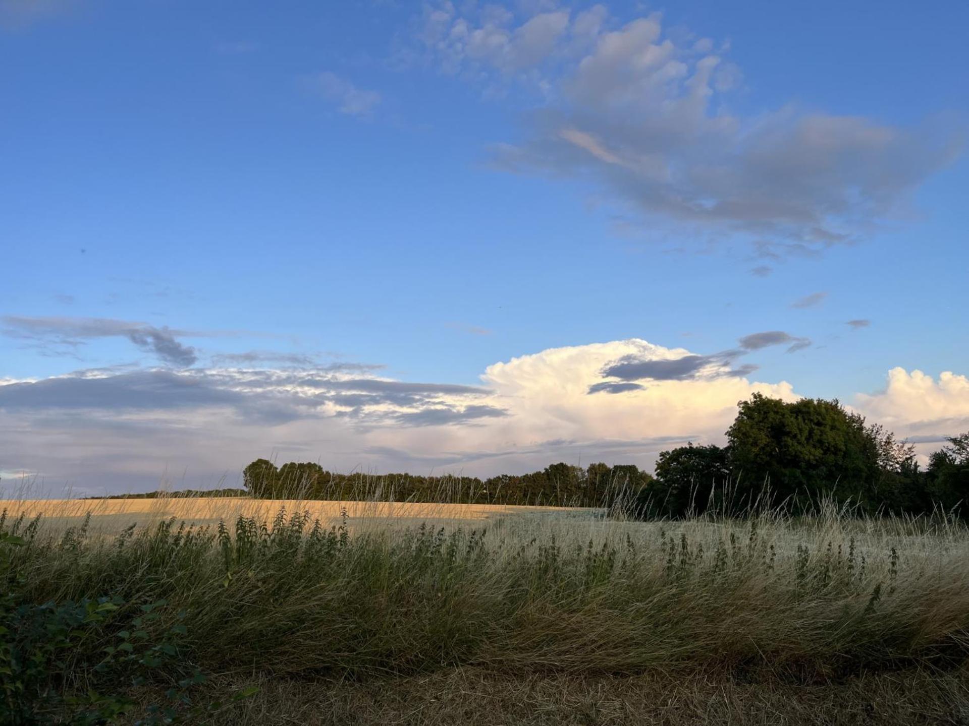 Willow Barn, לונג מלפורד מראה חיצוני תמונה